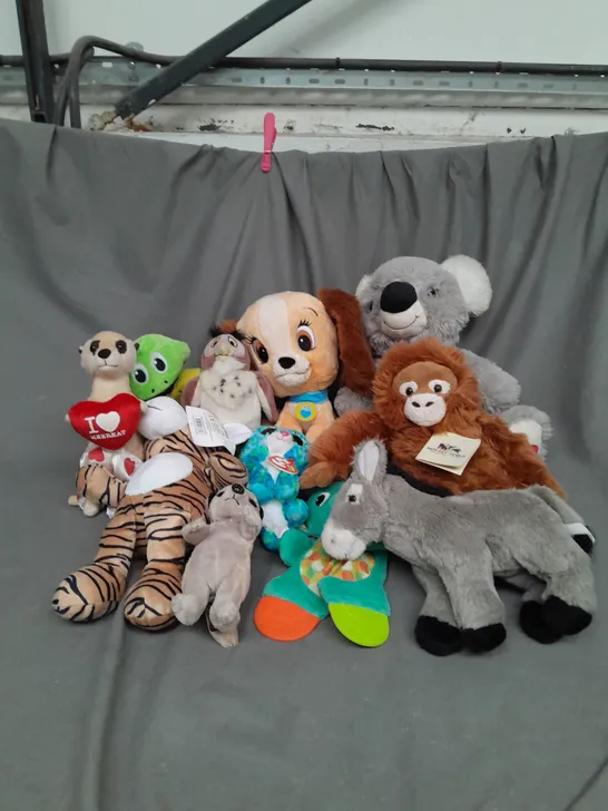 BOX OF ASSORTED PLUSH SOFT TEDDIES