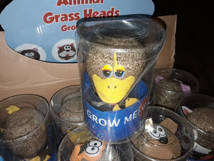 Lot 374 LOT OF 16 ANIMAL GRASS HEAD GROWING KITS Simon Charles