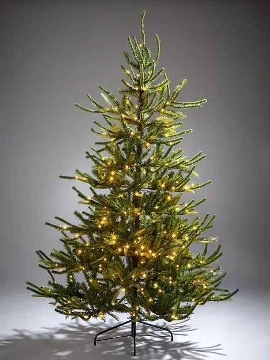 BOXED 7FT FRASER FIR UPSWEPT PRE-LIT MIXED TIPS CHRISTMAS TREE - COLLECTION ONLY RRP £209.99