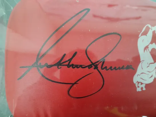 SIGNED ANTHONY JOSHUA BOXING GLOVE WITH CERTIFICATE OF AUTHENTICITY - COLLECTION ONLY 