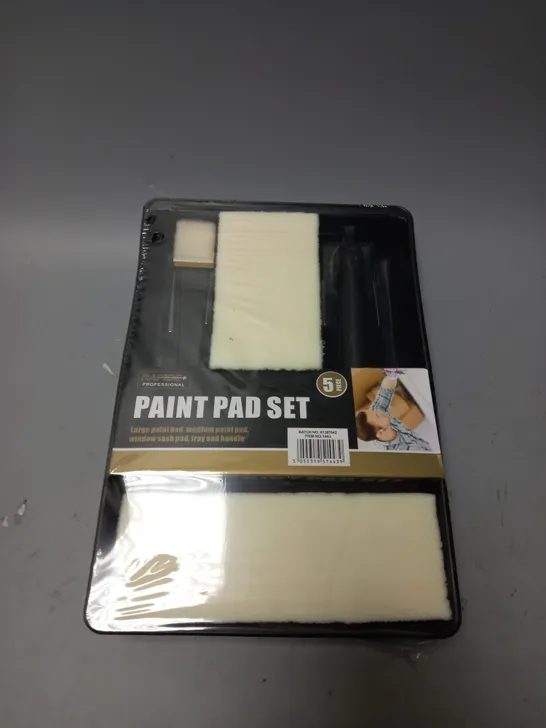 BOX OF APPROX 12 RAPIDE PAINT PAD SET 5 PIECE SET 