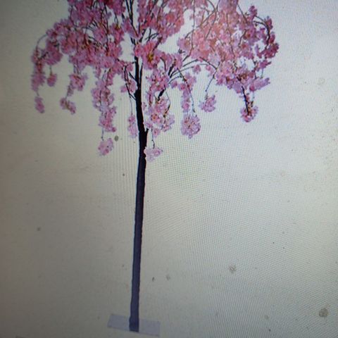 GARDEN REFLECTIONS 1.7M LED OUTDOOR CHERRY BLOSSOM TREE