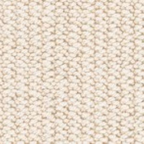 ROLL OF FOUR SEASONS PEREGRINE CARPET APPROXIMATELY 5X2.36M