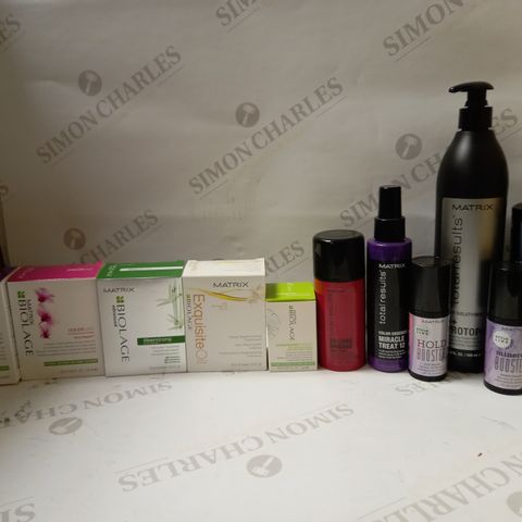 LOT OF APPROX 12 ASSORTED MATRIX HAIRCARE PRODUCTS TO INCLUDE DEEP REPLENISHING TREATMENT, IRON TAMER, RESRTORING TREATMENT, ETC