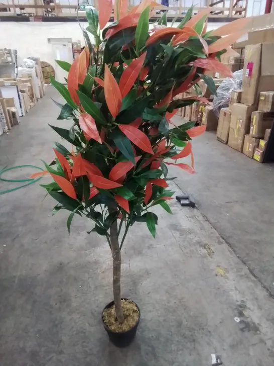 ARTIFICIAL RED AND GREEN FICUS TREE IN POT