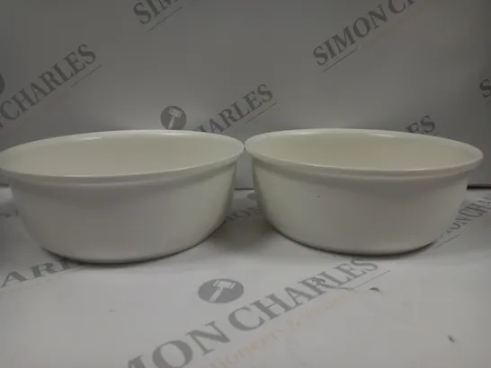 CERMAIC ELEVATED DOG BOWLS INCLUDES 2 