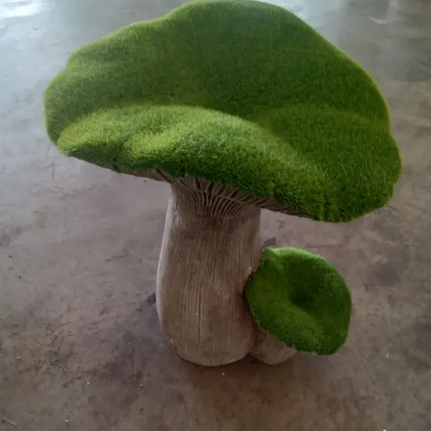 BOXED FAUX MOSS TOADSTOOL