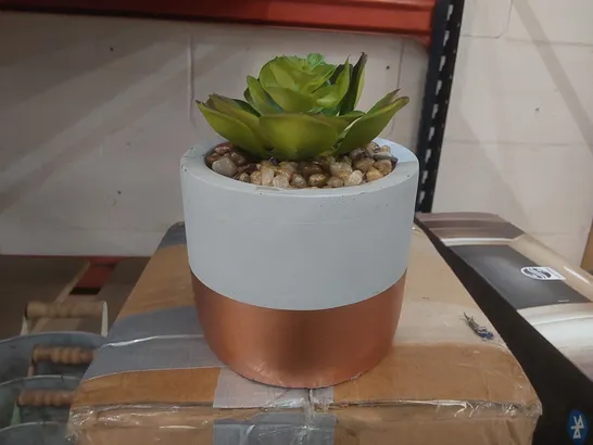 BOXED ARTIFICIAL SUCCULENT 