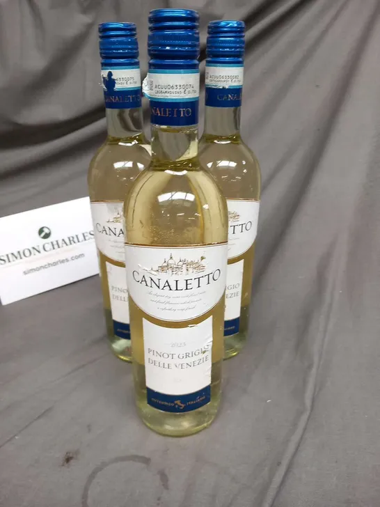 EIGHT BOTTLES OF CANALETTO 2023 PINOT GRIGIO DELLE VENEZIE DOC 75CL 12%