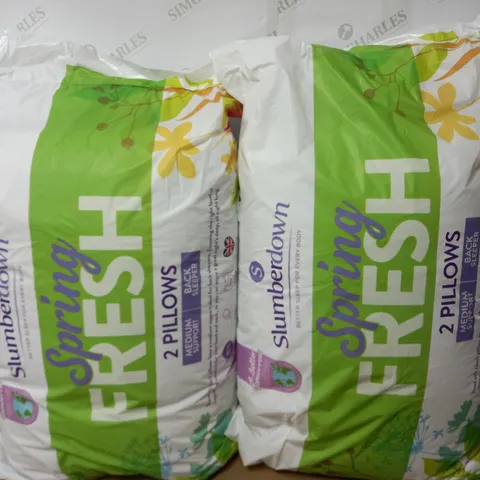 LOT OF 2 SLUMBERDOWN SPRING FRESH 2 PILLOW PACKS