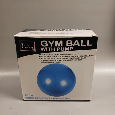 BOXED GYM BALL WITH PUMP IN PURPLE 