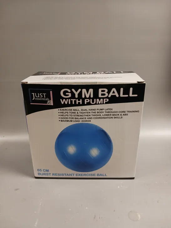 BOXED GYM BALL WITH PUMP IN PURPLE 