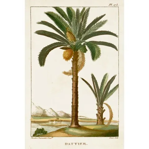 BAGGED PAINTING - TURPIN EXOTIC PALMS IV BY TURPIN (1 ITEM)