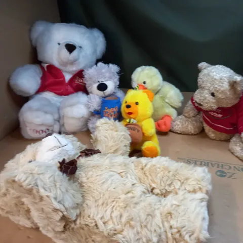 BOX OF ASSORTED TEDDY BEARS