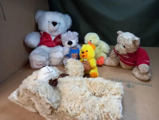 BOX OF ASSORTED TEDDY BEARS