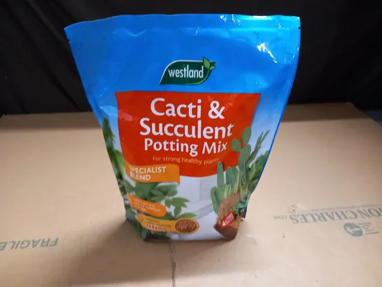 WESTLAND CACTI & SUCCULENT POTTING MIX - 4L