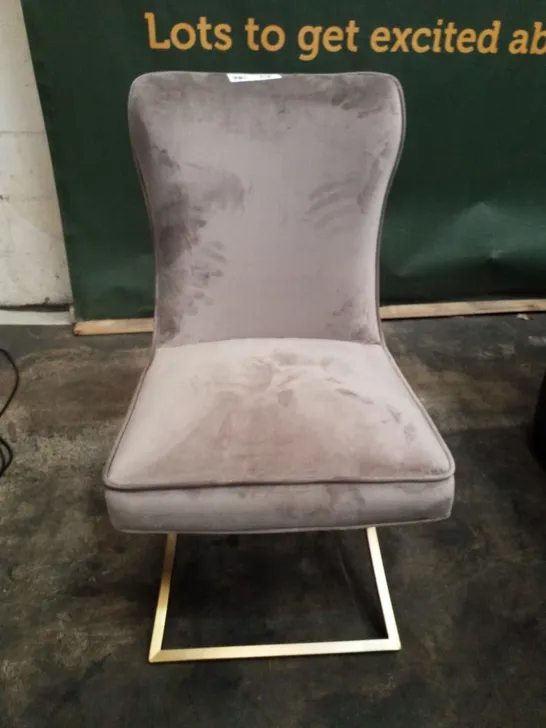 MINK VELVET DINING CHAIR