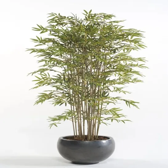 EMERALD ARTIFICIAL 150CM JAPANESE BAMBOO PLANT