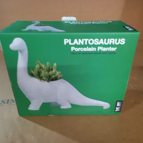 BOXED PLANTOSAURUS PORCELAIN PLANTER