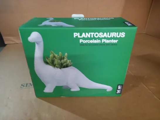 BOXED PLANTOSAURUS PORCELAIN PLANTER