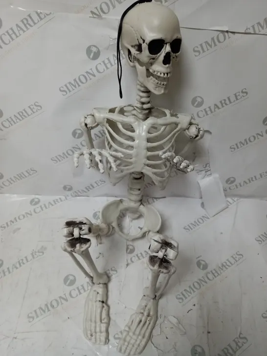 BOXED SKELTON HALLOWEEN DECORATION 