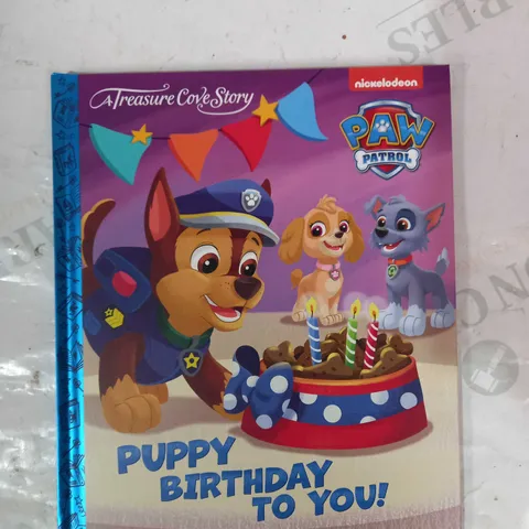 LOT OF APPROXIMATELY 10 TREASURE COVE STORY PAW PATROL PUPPY BIRTHDAY TO YOU BOOKS