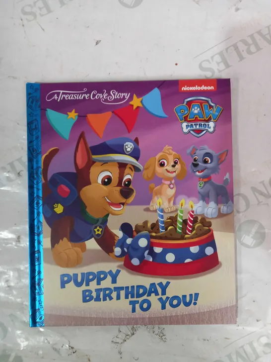 LOT OF APPROXIMATELY 10 TREASURE COVE STORY PAW PATROL PUPPY BIRTHDAY TO YOU BOOKS