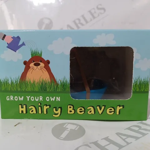 BOXED GROW YOUR OWN HAIRY BEAVER