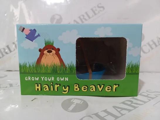 BOXED GROW YOUR OWN HAIRY BEAVER