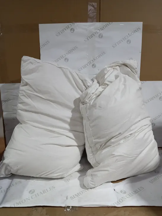 NORTHERN NIGHTS SET OF PUR FEATHER PILLOWS