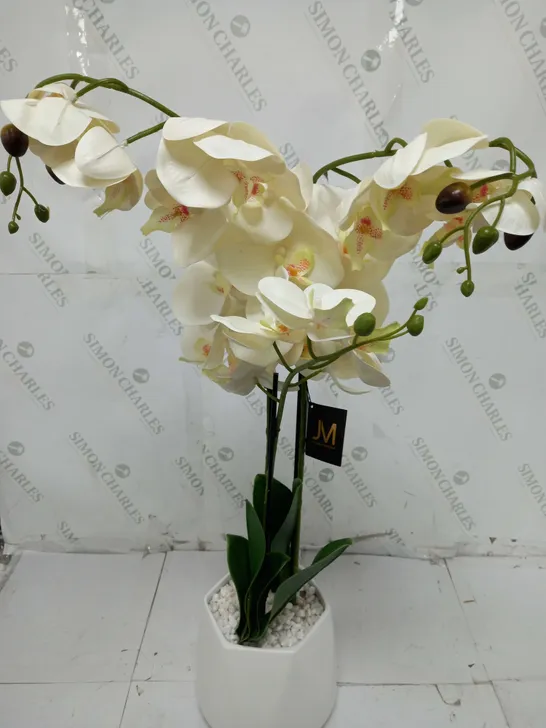 JULIEN MACDONALD MULTI STEM ORCHID IN WHITE GLAZED POT