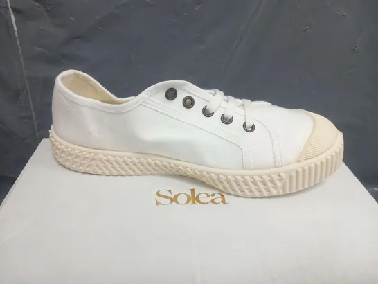 BOXED SOLEA BUMP BONE CANVAS SNEAKERS SIZE 37