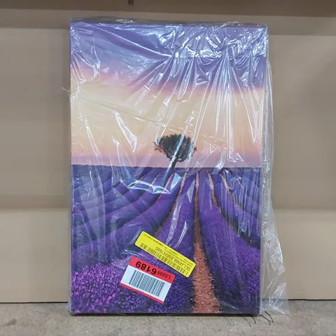 BAGGED CANVAS PAINTING - PURPLE LAVENDER FIELD OF PROVIDENCE (1 ITEM)