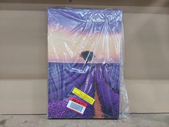 BAGGED CANVAS PAINTING - PURPLE LAVENDER FIELD OF PROVIDENCE (1 ITEM)