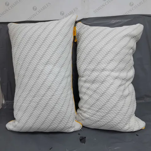 TWO COSI HOME MEMORY FOAM PILLOWS