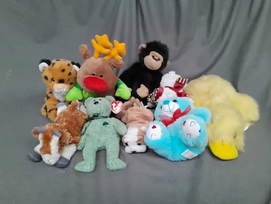 BOX OF ASSORTED PLUSH SOFT TEDDIES