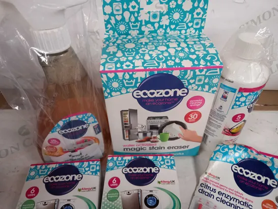 ECOZONE ECO-CONSCIOUS CLEANING KIT