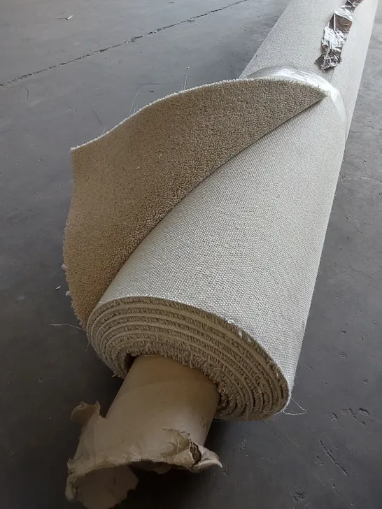 ROLL OF QUALITY DIMENSIONS CARPET // SIZE: APPROX 2 X 4m