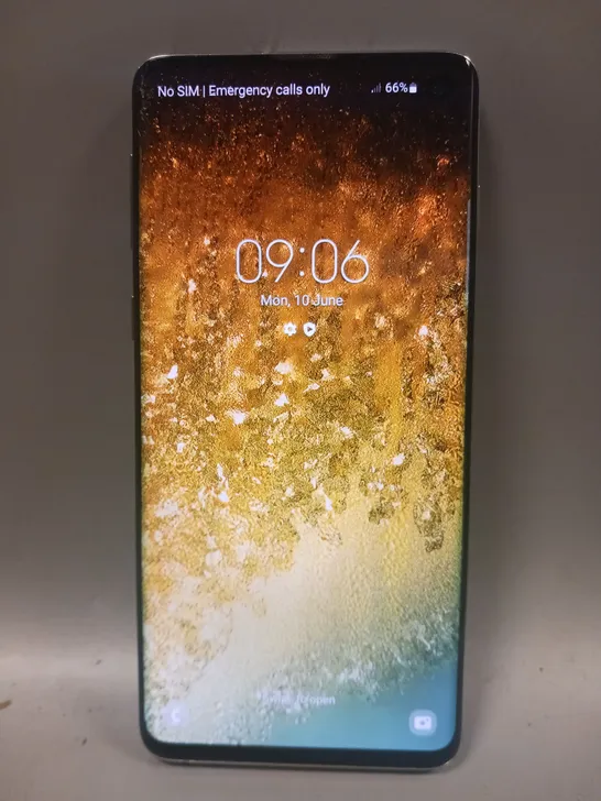 SAMSUNG GALAXY S10