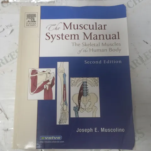 THE MUSCULAR SYSTEM MANUAL SECOND EDITION BY JOSEPH E MUSCOLINO