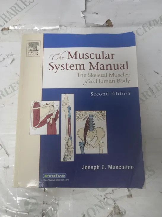 THE MUSCULAR SYSTEM MANUAL SECOND EDITION BY JOSEPH E MUSCOLINO