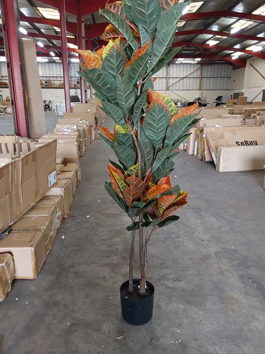 BOXED 140CM ARTIFICIAL CODIAEUM PLANT