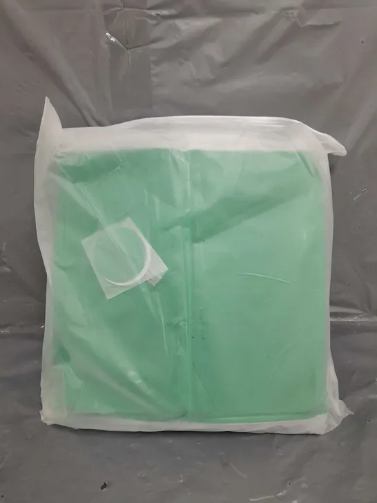 BAGGED GREEN AIR MATTRESS 