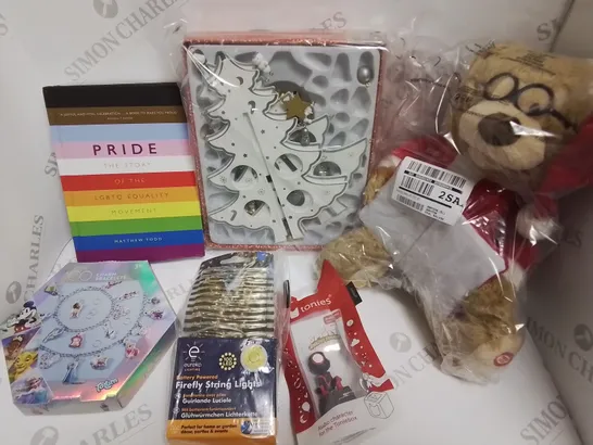 LOT OF 10 ASSORTED HOUSEHOLD ITEMS TO INCLUDE PRIDE BOOK, DISNEY CHARM PACK AND HOHOHO ROOM LIGHTS