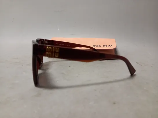 BOXED MIU MIU SQUARE BROWN SUNGLASSES 