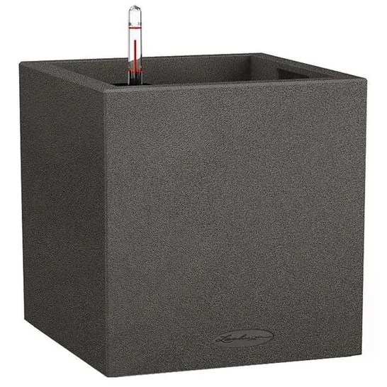 BOXED CANTO PLANTER