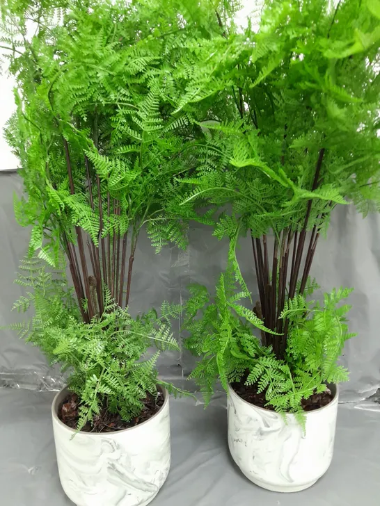 SET OF 2 POTTED FAUX FERN PLANTS - COLLECTION ONLY 