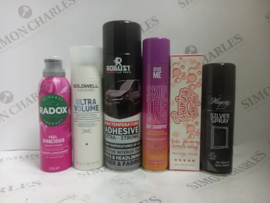 BOX OF APPROX 15 ASSORTED AEROSOLS TO INCLUDE GOLDWELL DRY SHAMPOO, GIVE ME DRY SHAMPOO, HAGERTY SILVER SPRAY, ETC 