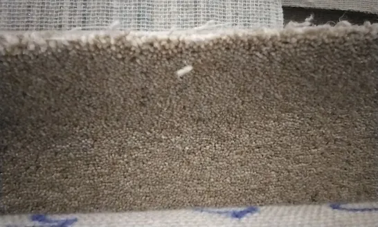 QUALITY ROLL OF CRESTA 50 4766 CARPET APPROXIMATELY 5 X 2.81M