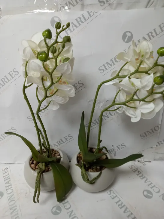 HOME REFLECTIONS SET OF TWO FAUX ORCHIDS WHITE